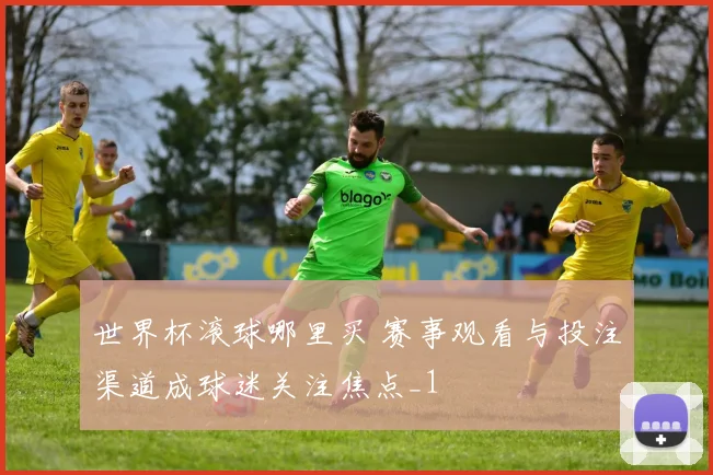 世界杯滚球哪里买 赛事观看与投注渠道成球迷关注焦点_1