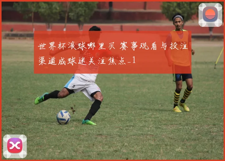 世界杯滚球哪里买 赛事观看与投注渠道成球迷关注焦点_1