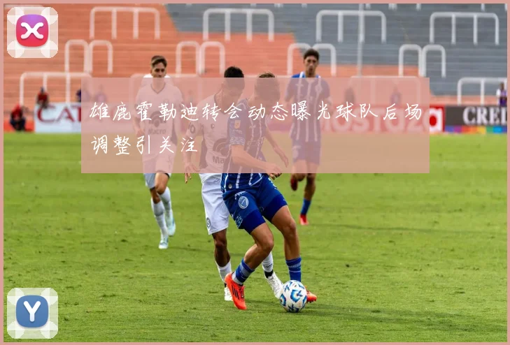 雄鹿霍勒迪转会动态曝光球队后场调整引关注