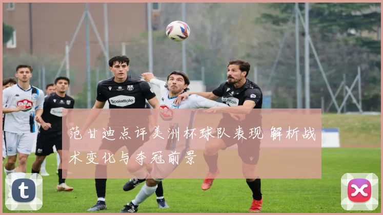 范甘迪点评美洲杯球队表现 解析战术变化与夺冠前景