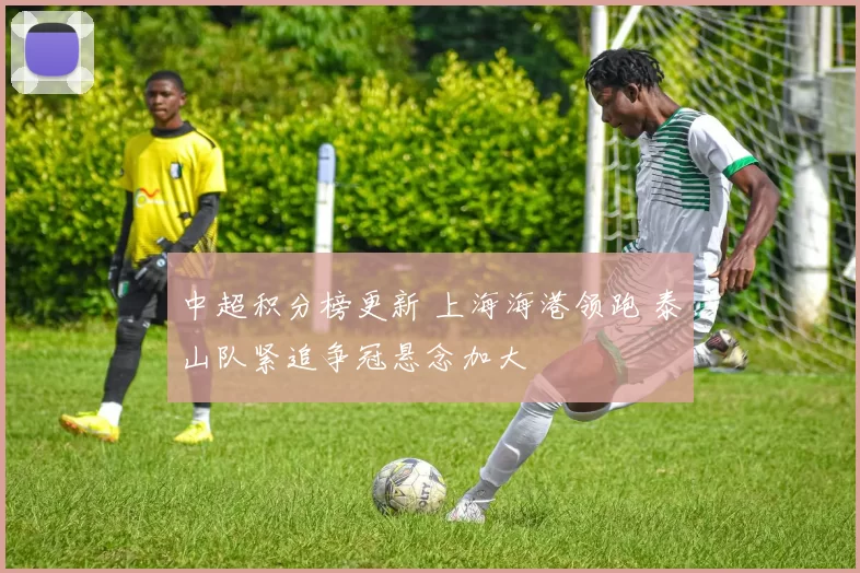中超积分榜更新 上海海港领跑 泰山队紧追争冠悬念加大